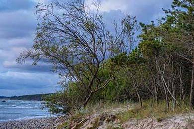 球队内部风波：某俱乐部管理层引发众怒，球队管理方案