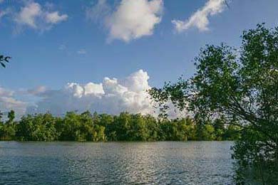 球队内部风波：某俱乐部管理层引发众怒，球队管理方案