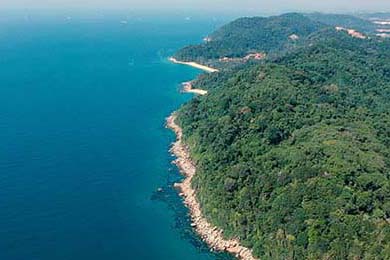 球队内部风波：某俱乐部管理层引发众怒，球队管理方案